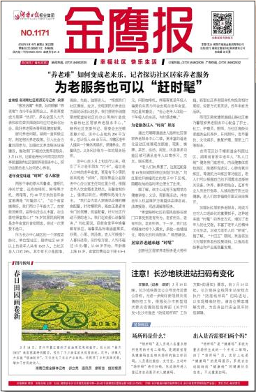 金鷹報